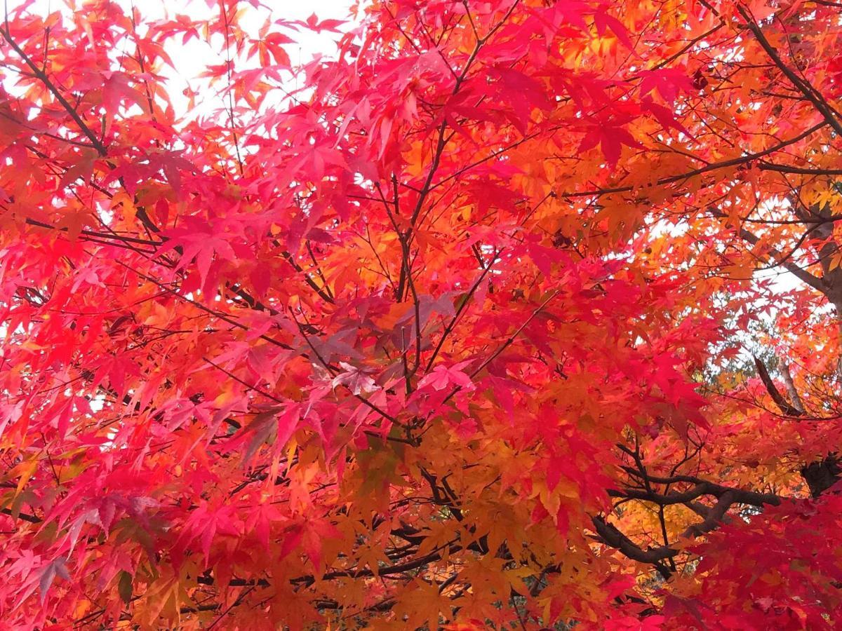 湯浅長 Shimo-saga Exterior foto